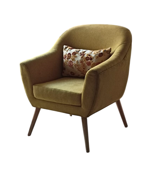 Fauteuil Crapeau